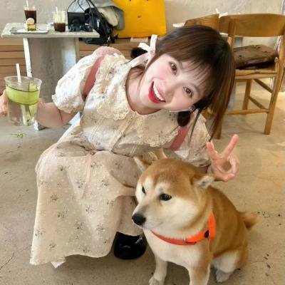望向太阳